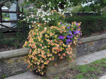 bloemenpracht september in Rendeux-Haut