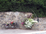 bloemenpracht september in Rendeux-Haut