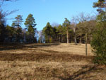 Het Naturschutzgebiet Silberberg