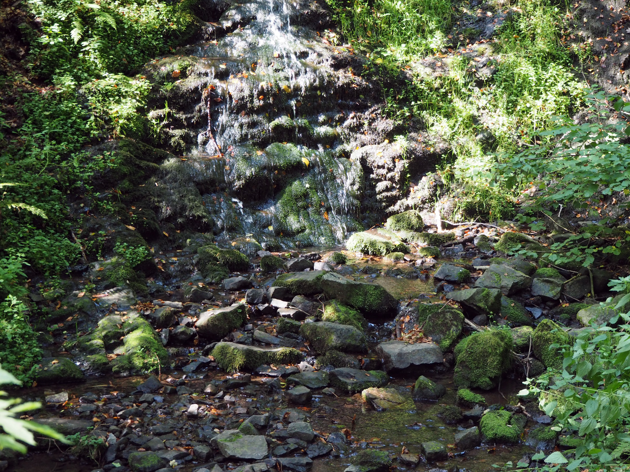 de Spitterfall, hoogste waterval in het Thüringer Wald