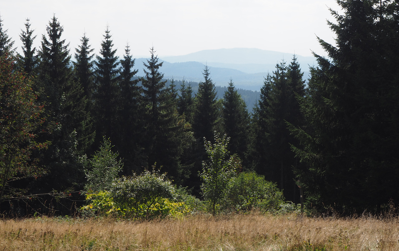 doorkijkjes in het Thüringer Wald