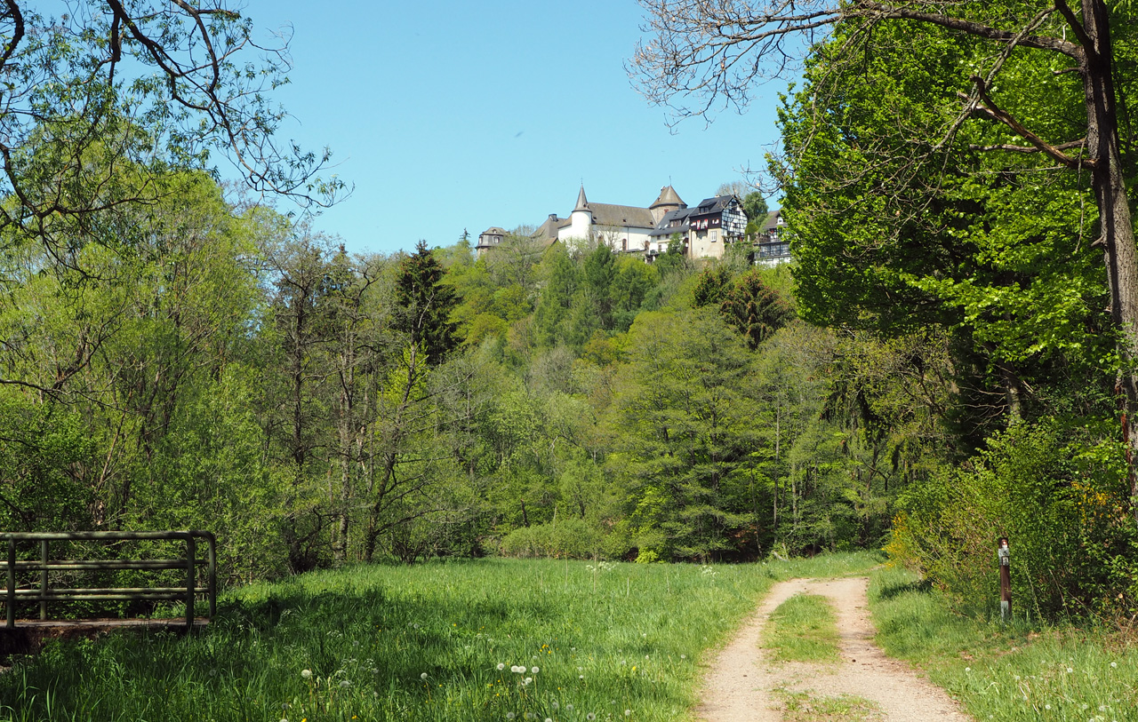 de eerste blik op Burg Wildenburg