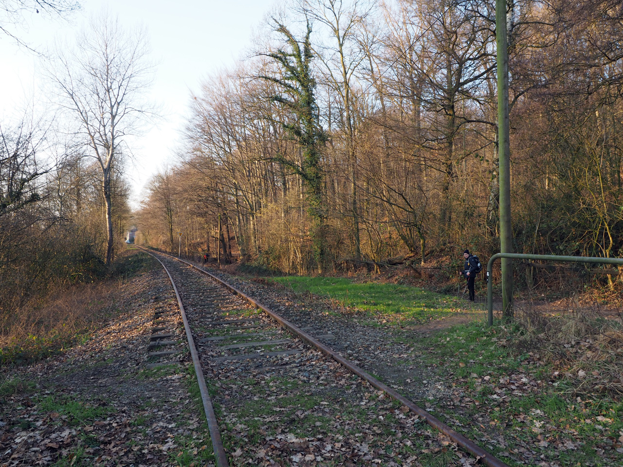Teutoburgerwald Eisenbahn