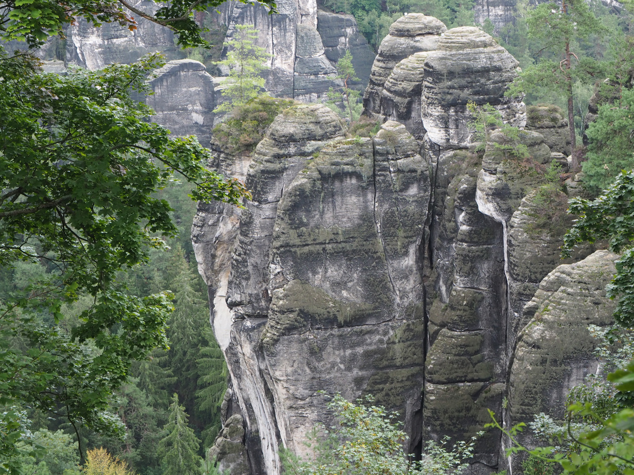 rotsformaties in de Sächsische Schweiz