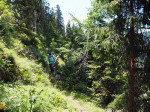 wandelpad boven de Traunwaldalm