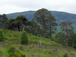 extra wandeling langs de Orchy naar Loch Tulla, een prachtig gebied