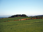 landschap Moray rond het Spey dal