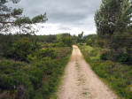 natuurgebied Abernethy National Nature Reserve