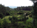 natuurgebied Abernethy National Nature Reserve