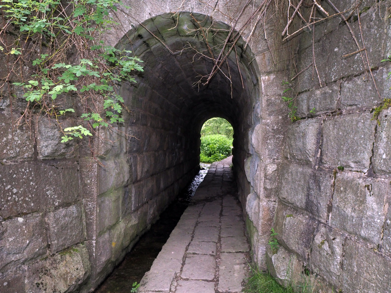 de laatste tunnel voor Aviemore stadspark